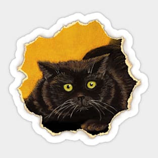 Black Cat Sticker